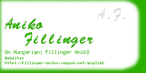 aniko fillinger business card
